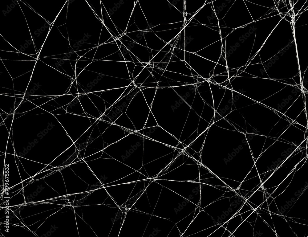 Black and white cobweb. AI.