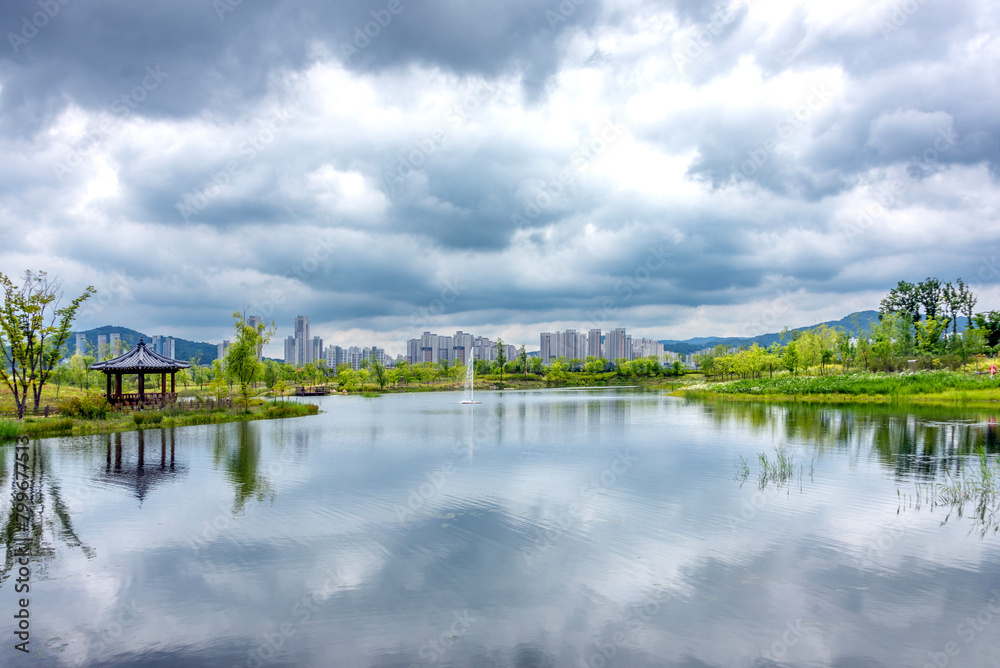 Fototapeta premium 작은 호수 너머로 고층아파트가 보이는 국립세종수목원의 풍경-Scenery of the National Sejong Arboretum with high-rise apartments visible across a small lake