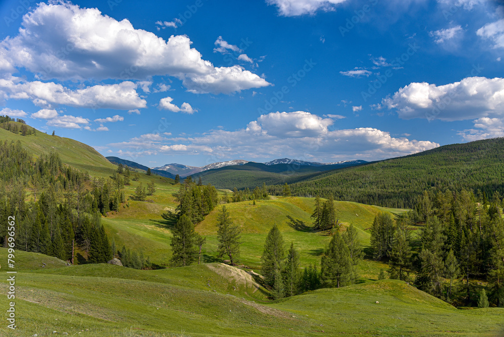 Mountain landscape. Forest on a sunny day with beautiful clouds in the sky.