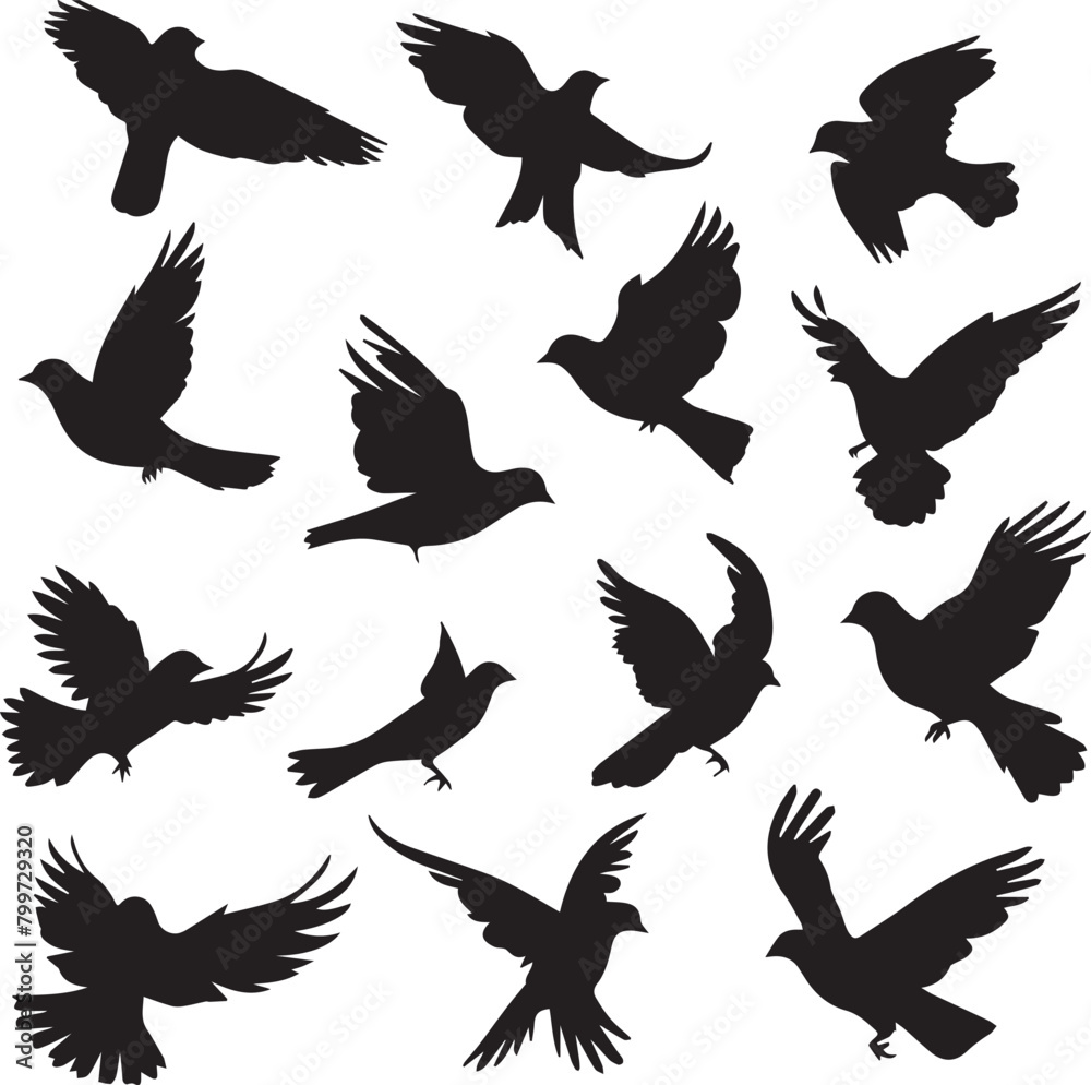 Obraz premium set of birds