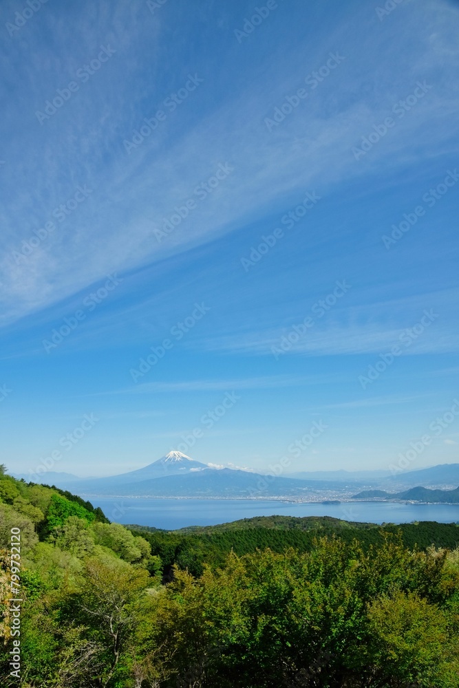 Obraz premium 伊豆山稜トレイルから見た富士山