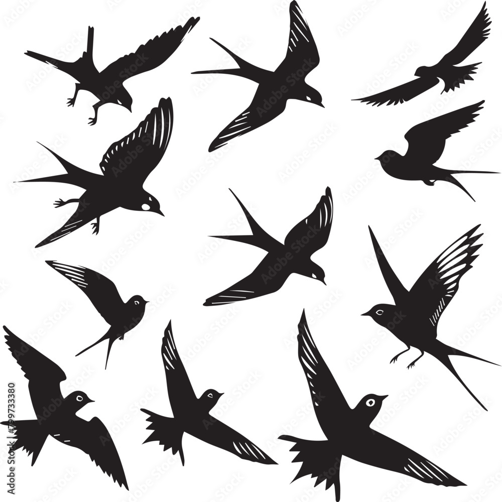 Obraz premium set of silhouettes of birds