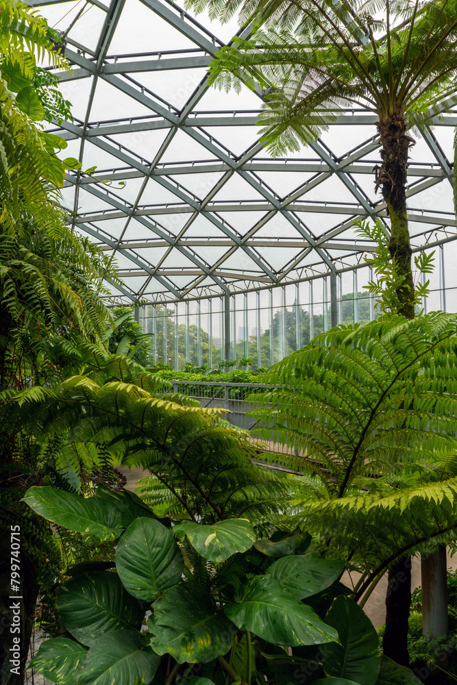 Lush green plants in foreground inside a modern glass and metal botanical garden Lush green plants in foreground inside a modern glass and metal botanical garden