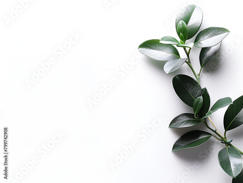 Serene Minimalist Background with Leaves, Perfect for Copy Space and Calm Concepts