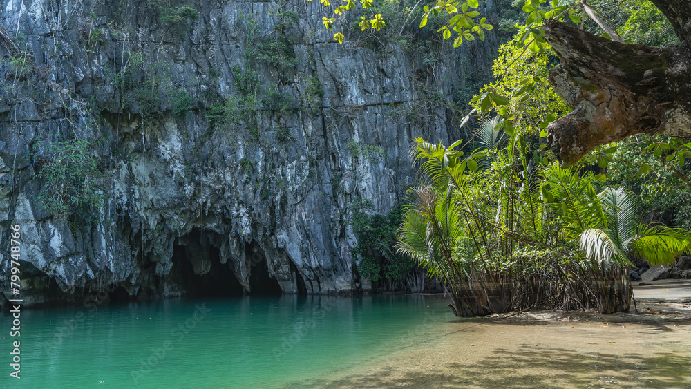 Lush tropical vegetation, palm trees grow on the banks of a calm transparent turquoise river. A dark grotto is visible in the steep karst rocks - the entrance to the cave. An underground river.  