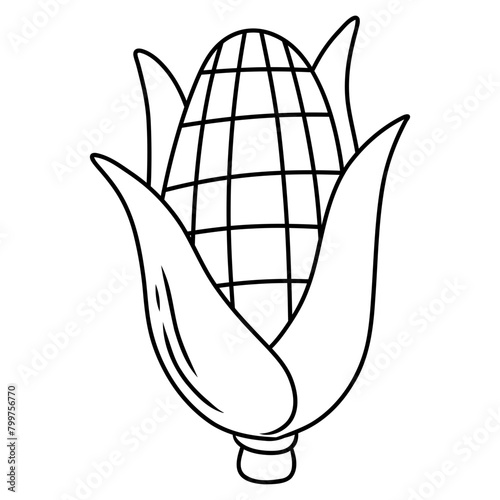 corncob illustration