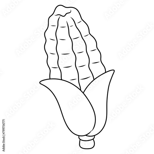 corncob vegetable icon