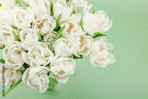 A bouquet of white tulips on a pastel green background. Blooming flowers  festive concept