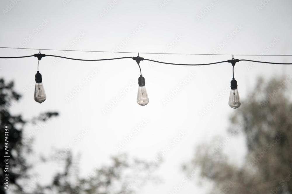 Tree lamps Tree lamps