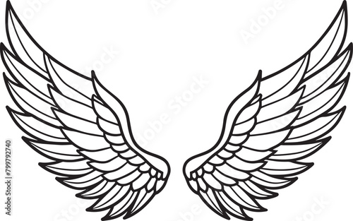 Wings isolated on white background. Vector illustration in outline style.