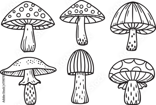 Set of mushrooms. Vector illustration for coloring book. Black and white.
