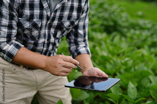 Farmer giving advice on wheat work online on tablet in wheat field © aekachai
