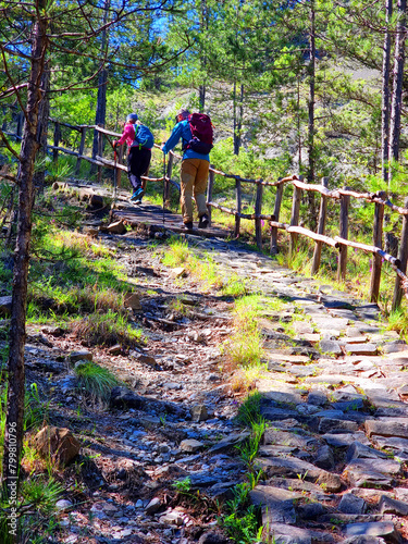 trecking among green trees in spirng in ioannina perfecture iliochori village path to waterfalls greee