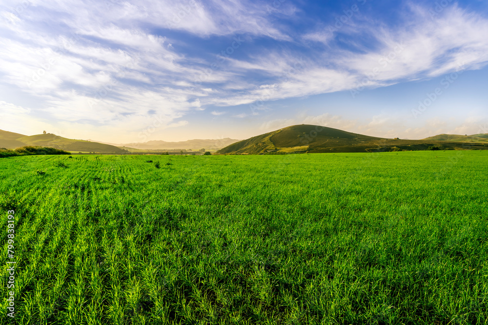Fototapeta premium green landscape of spring field with green young grass and amazing hills on background
