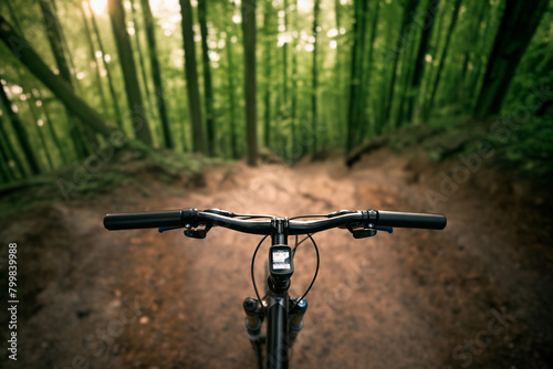 Exploring the Great Outdoors on a Mountain Bike