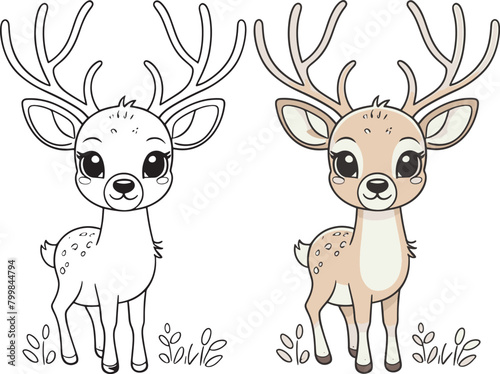 Kawaii deer, cartoon characters, cute lines and colorful coloring pages.