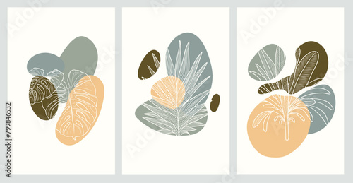 A set of three abstract botanical posters with soft narural color palettes, perfect for modern home decor or office spaces, posters and stickers for craft
 photo