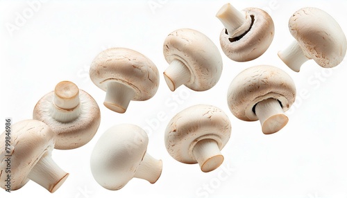 Wallpaper mushrooms isolated on white background, champignon mushrooms cut out