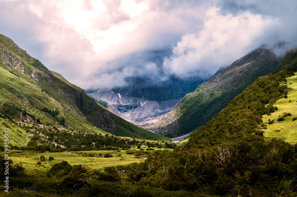 Fototapeta premium Landscape with mountains and clouds. Valley of Flowers, a beautiful Trek in the Himalayas, Nanda Devi Biosphere National Park, amazing landscape, mountains, hills, foggy, misty, Uttarakhand India.