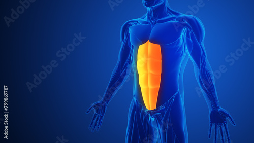 Abdominal Muscle Pain with blue background