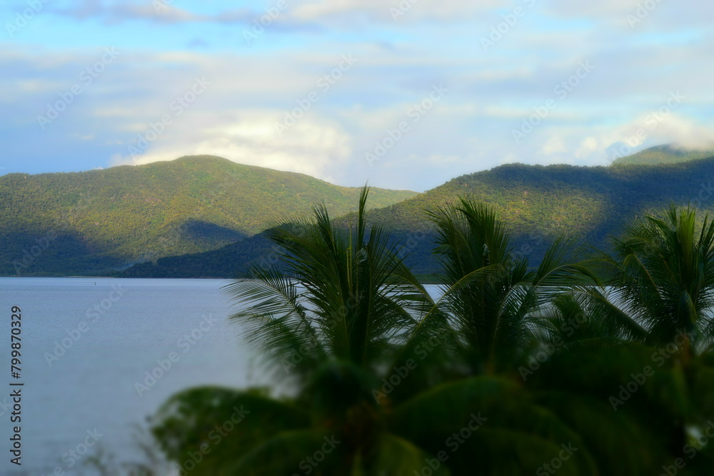 Dreamlike Morning in Cairns - Tropical Serenity