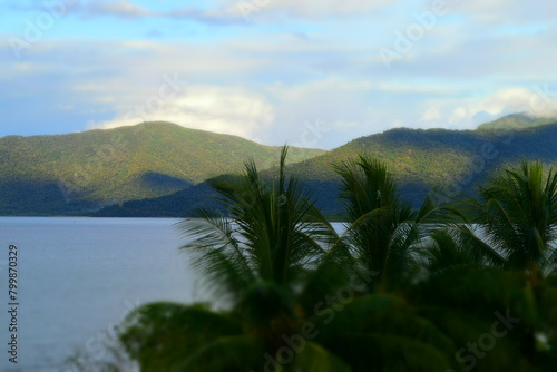 Dreamlike Morning in Cairns - Tropical Serenity