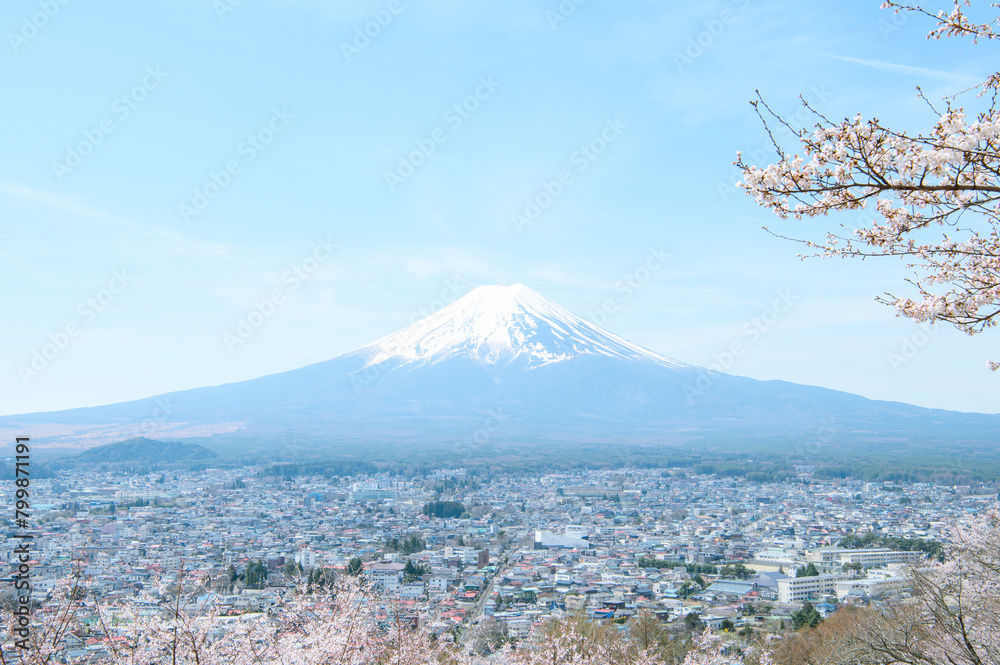 富士山と桜