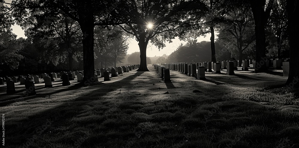 Fototapeta premium Touching imagery depicting the reverence of cemeteries and memorials honoring fallen soldiers.
