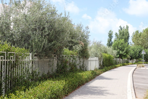 Green plants and flowers grow along a fence in a city park.