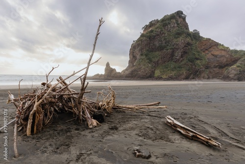 Pile of diftwood on a black san beach at Piha, Auckland, New Zealand. photo