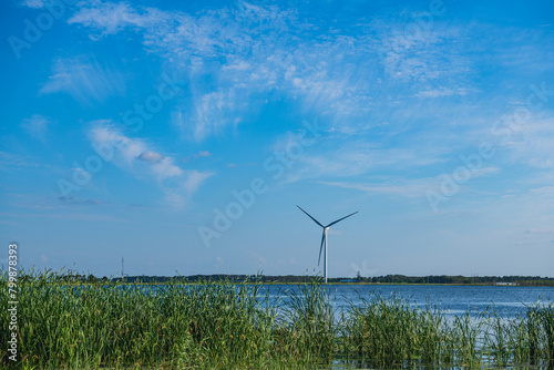 Wetland wind power generation in Daqing City, Heilongjiang Province photo