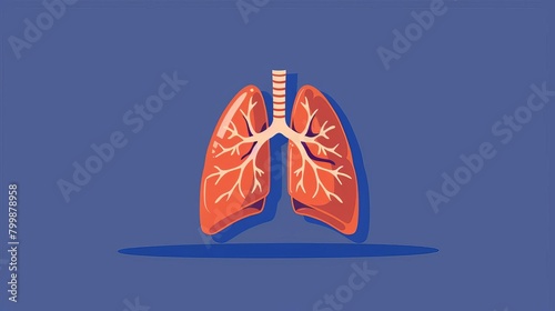 Lungs vector illustration, flat design showing airways and gas exchange, stylized and educational , close-up, flat design, vector art, 2D photo