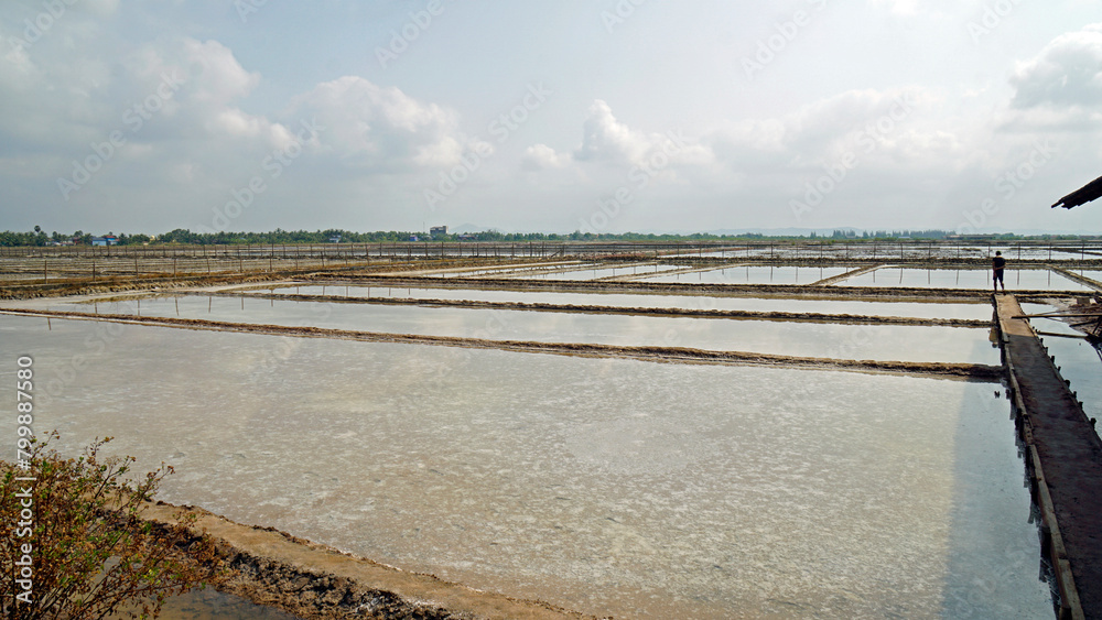 huge salt fields near kampot