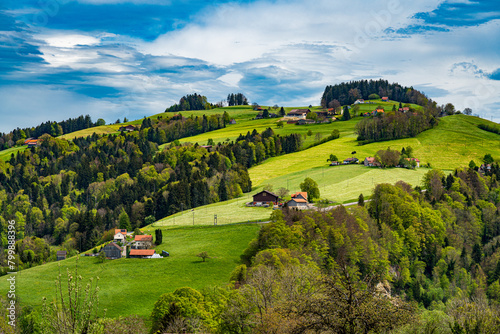 CH, Schweiz, Landschaft in Appenzell bei Heiden; Hügellandschaft im Frühjahr mit changierenden Farben aus Gelb und Grün