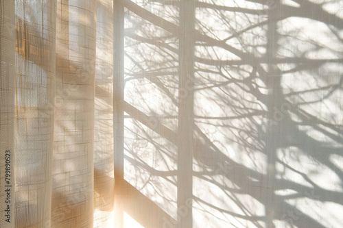 Wall  shadow and silhouette of tree  leaves and plant outdoor with mockup blanc space.