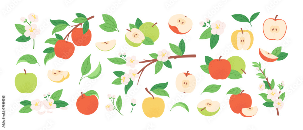Apple fruits and flowers. Garden apples whole and sliced. Beautiful blossom branches with leaves and floral. Fresh fruit, racy vector clipart Apple fruits and flowers. Garden apples whole and sliced. Beautiful blossom branches with leaves and floral. Fresh fruit, racy vector clipart
