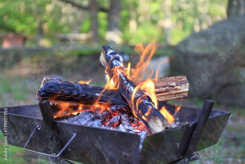 春のキャンプで焚き火台での焚き火