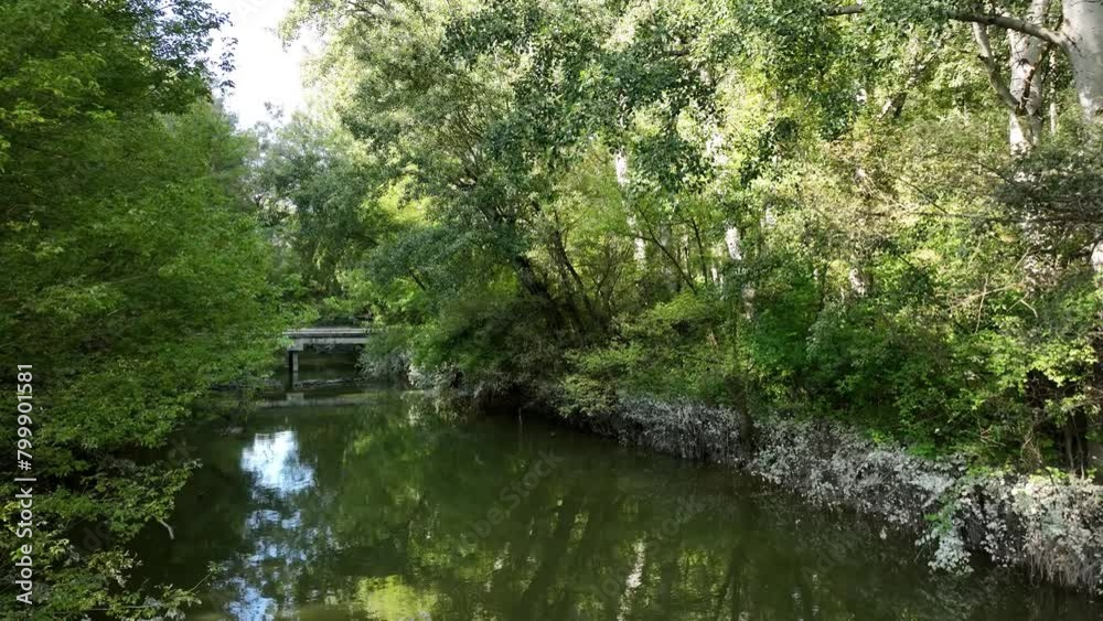 Aerial view of bridge in the Danube floodplain forest, after a summer flood with visible signs on the sides of the river Aerial view of bridge in the Danube floodplain forest, after a summer flood with visible signs on the sides of the river