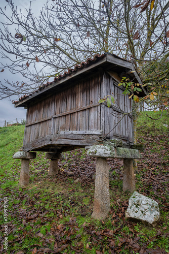 Conjunto de hórreos de A Merca, Terras de Celanova, Ourense, Galicia, Spain © Tolo