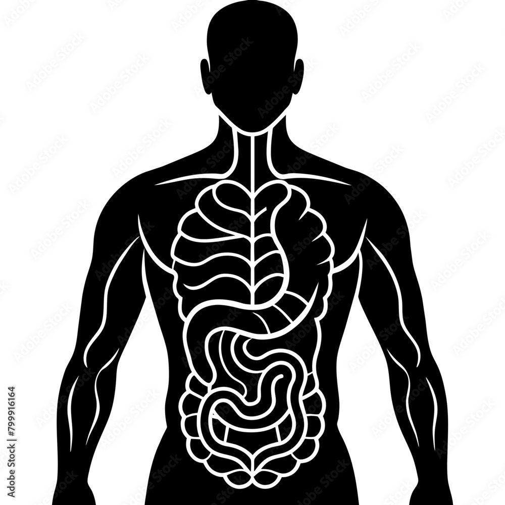 Human anatomy parts icon silhouette Vector illustration. Human anatomy parts icon silhouette Vector illustration.