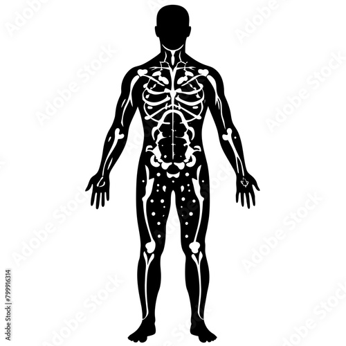Human anatomy parts icon silhouette Vector illustration.