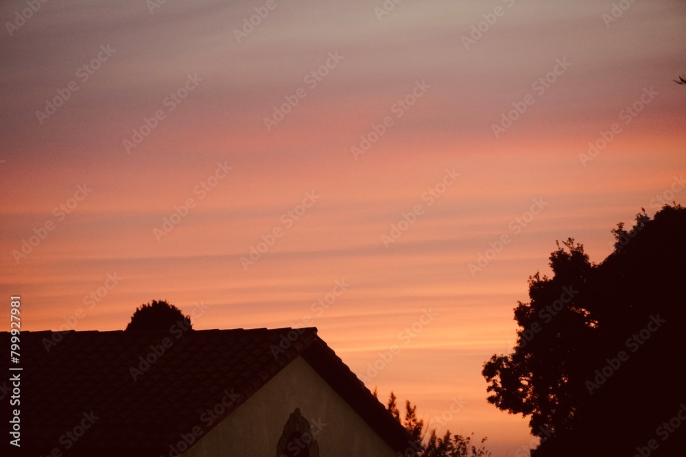 Silhouettes of roofs of houses, trees with sunset sky.
