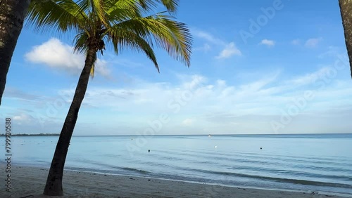 View from behind the palm trees on Trou aux biches beach, Mauritius, to the white sands and turquoise crystal waters of the Indian Ocean. The peace of being on a tropical island (ID: 799930588)