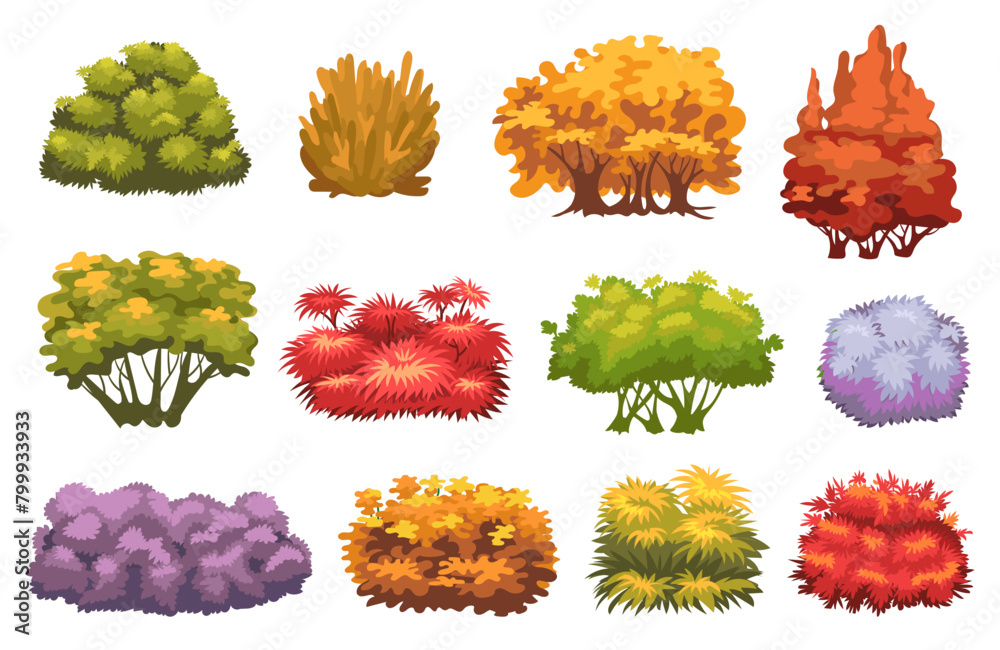 Obraz premium Cartoon autumn bushes. Fading garden plants. Color shrub trees. Decorative hedges. Botanical landscape elements. Yellow foliage and fall leaves. Natural shrubberies. Splendid vector set