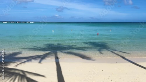 Magnificent shadows of palm trees falling on the white sands and turquoise crystal waters of Trou aux biches beach, Mauritius. (ID: 799934176)
