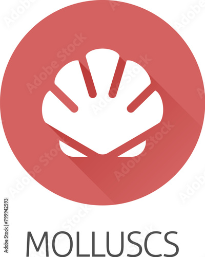 A seashell shell clam mollusc food stylised icon. Possibly an icon for the allergen or allergy or a seafood concept.