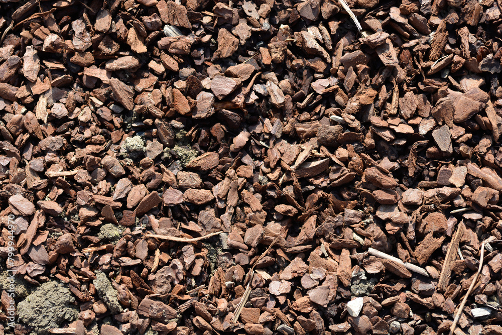 Detail of wood chip mulch surface on the ground Detail of wood chip mulch surface on the ground