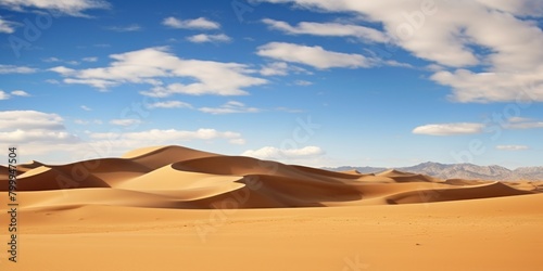 Vast desert landscape with sand dunes © Balaraw