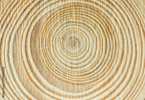 round wood textured background for decoration