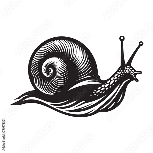 Vector snail silhouette illustration